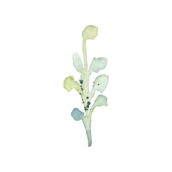 Watercolor Aquarium Plant Isolated White Background Cartoon Underwater Herb Grass — Stock Fotó