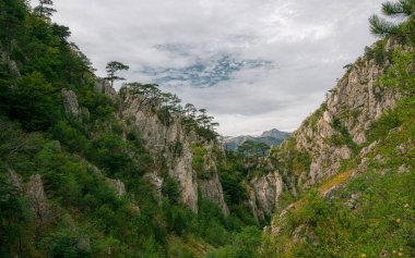 Romanya 'da kara çam manzarası, Cheile Tsnei Ulusal Parkı, Baile Herculane