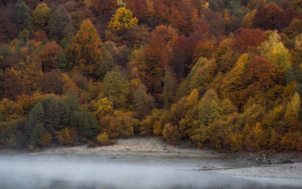 Горный Осенний Пейзаж Красочным Лесом — стоковое фото