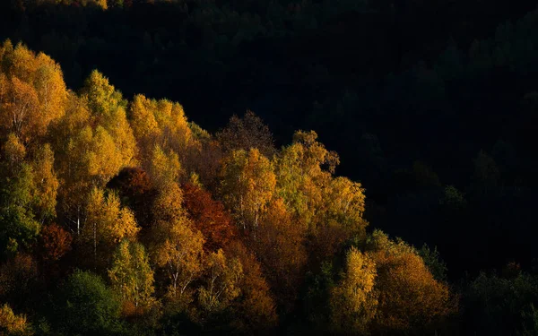 Paysage Automne Montagne Avec Forêt Colorée — Photo