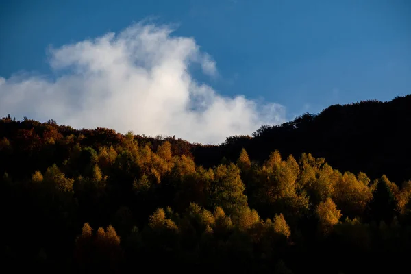 Paysage Automne Montagne Avec Forêt Colorée — Photo