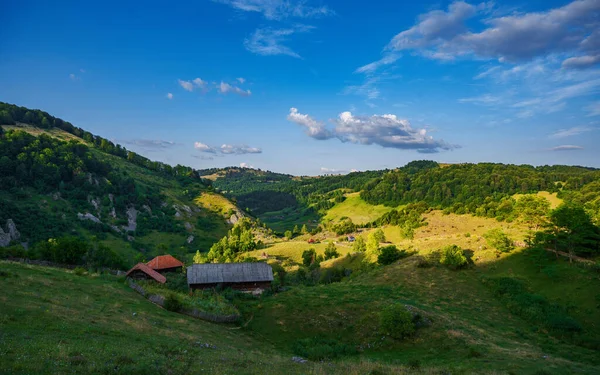 2021年7月19日 Fundatura Ponoruluiからの風景 夏の晴れた日 — ストック写真