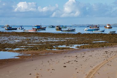 Praia do Forte sahilinde turist bekleyen tekneler durdu.