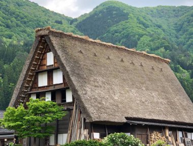 Japon Sahnesi - Shirakawa-Go,