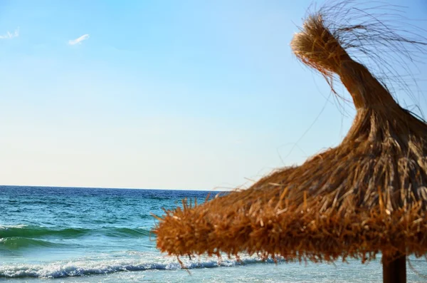 Coast of Mallorca — Stock Photo, Image