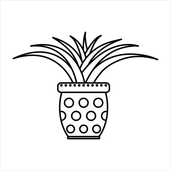 Lineares Vektor Aloe Symbol Vereinzelte Umrisse Der Zimmerpflanze Auf Weiß — Stockvektor