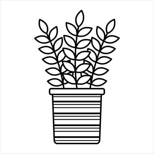 Icône Ficus Vectoriel Linéaire Image Contour Isolée Plante Intérieur Sur — Image vectorielle