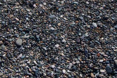 Deniz, su ve taşlardan oluşan berrak sulardaki taşlar.