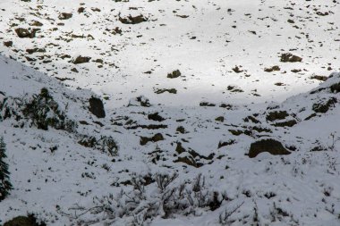 Gürcistan 'ın Egrisi bölgesinde kışları dağ manzarası ve manzarası, kar ve buz