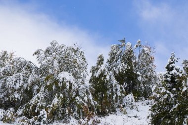 Gürcistan 'ın Egrisi bölgesinde kışları dağ manzarası ve manzarası, kar ve buz