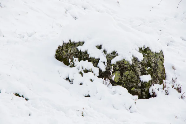 Зимовий Гірський Ландшафт Краєвид Сніг Лід Егрісі Джорджія — стокове фото