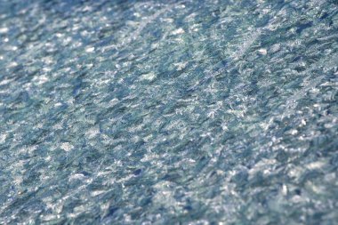 Donmuş pencere ve cam, donmuş çiğ, su deseni ve doku, güzel duvar kağıdı.