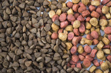 Köpek maması, hayvanlar için kuru yiyecek, haşhaş karışık yiyecek, yüksek açı manzarası.