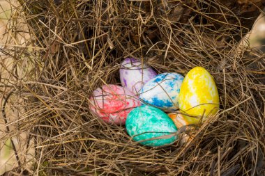 Mutlu Paskalyalar, renkli yumurtalar yuvada