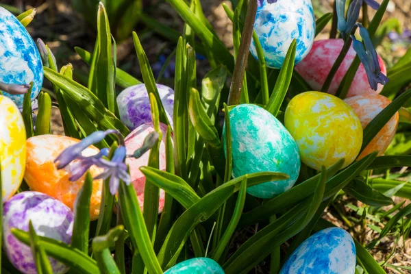 Happy Easter Colorful Eggs Flowers Grass Land — Stock Photo, Image