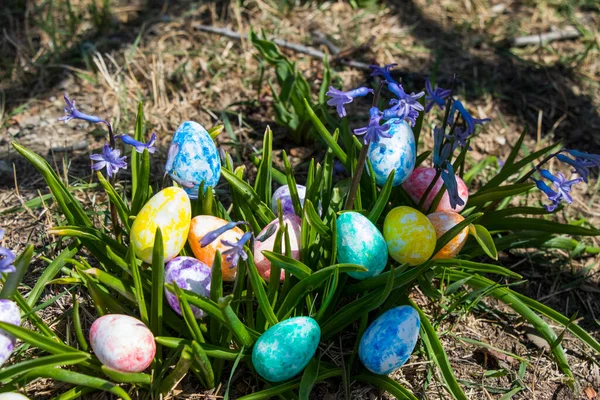 Happy Easter Colorful Eggs Flowers Grass Land — Stock Photo, Image