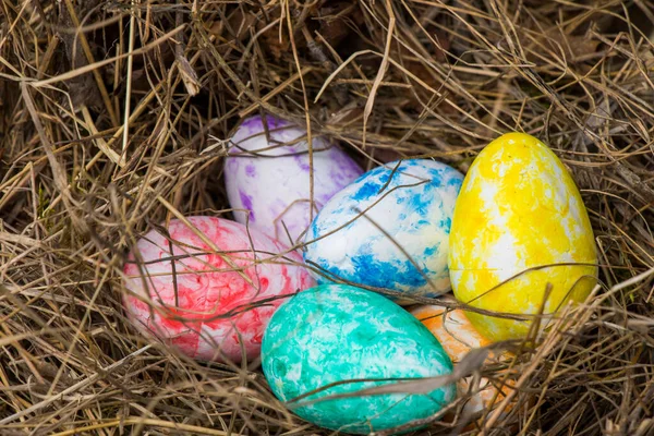 Mutlu Paskalyalar, renkli yumurtalar yuvada