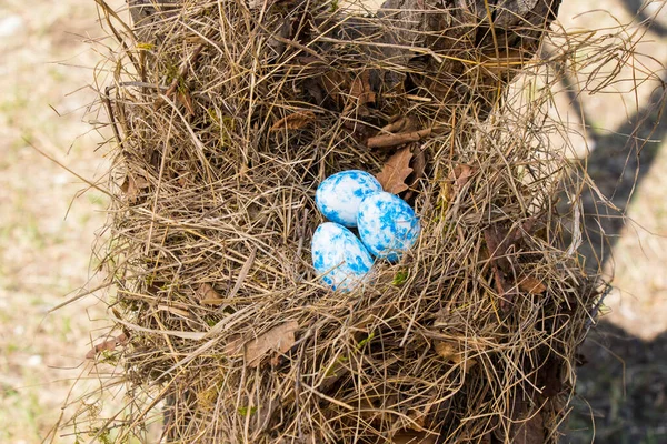 Happy Easter Colorful Eggs Nest — стоковое фото