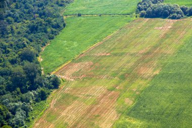 Kakheti view and landscape from the helicopter, Georgian nature beauty