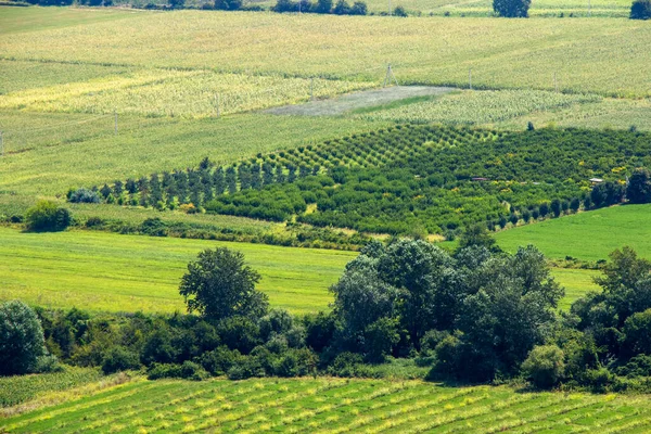 Kakheti View Landscape Helicopter Georgian Nature Beauty — Foto de Stock