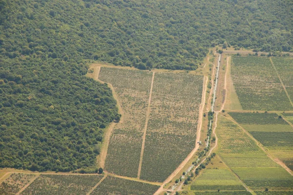 Telavi View Landscape Helicopter Georgian Nature Beautiful Fields Agriculture — Foto de Stock