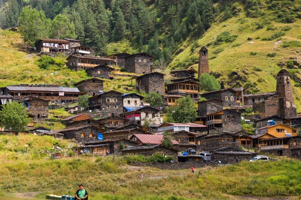 Village Dartlo Landmark Old Buildings Tusheti Georgia Old Famous Hauses — Fotografia de Stock