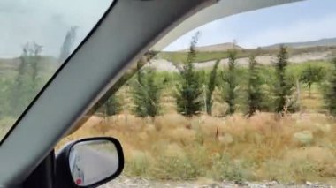 Yol videosu, hareketli araba ve yol manzarası, Georgia 'da doğa, ağaçlar ve otoyol