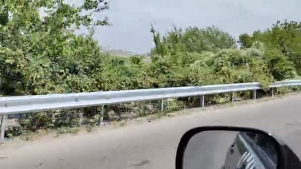 Дорожное Видео Движущиеся Автомобильные Дорожные Пейзажи Природа Деревья Шоссе Грузии — стоковое видео