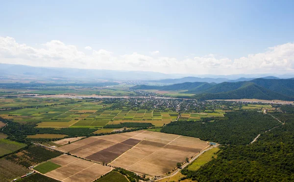 Gürcistan Kakheti Kentindeki Tarım Alanlarının Yüksek Açılı Görüntüsü Alanlar Gökyüzü — Stok fotoğraf