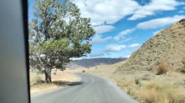 Yol videosu, hareketli araba ve yol manzarası, Georgia 'da doğa, ağaçlar ve otoyol