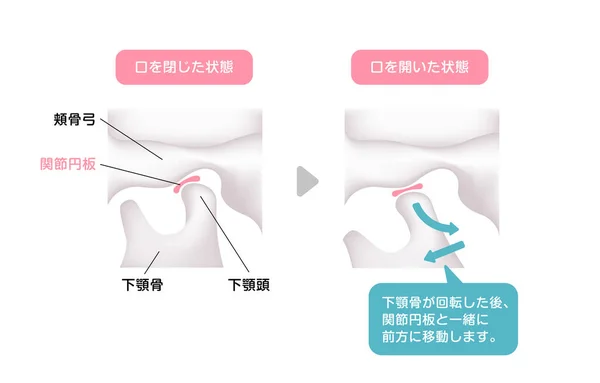 顎を開閉する際の構造図 — ストックベクタ