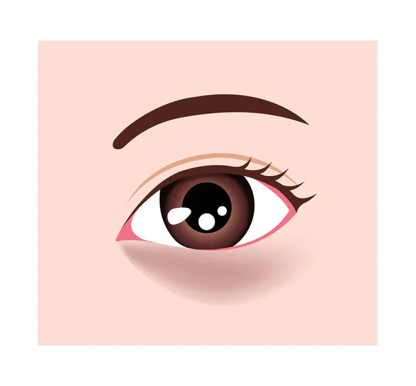 Dark Circles Eyes Vector Illustration Brown Circles — Stock Vector