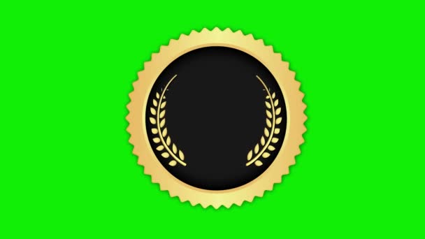 Medal Icon Animation Movie Customer Satisfaction Green Background Chroma Key — ストック動画