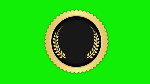 Medaille Pictogram Animatiefilm Sales Ranking Groene Achtergrond Voor Chroma Sleutel — Stockvideo