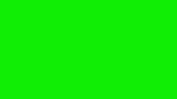 Red Curtain Opening Closing Animation Mp4 Green Background Chroma Key — Stok video