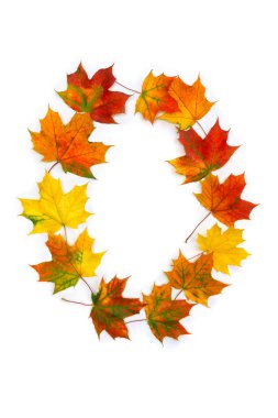 Renkli sonbahar akçaağaç yapraklarının O harfi beyaz arkaplanda. Üst manzara, düz uzanma