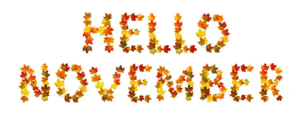 Hallo November Schriftzug Text Aus Bunten Herbstlichen Ahornblättern Auf Weißem — Stockfoto