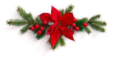 Noel süsü. Kırmızı noktalı çiçek, yılbaşı ağacı dalı, beyaz arka planda kırmızı böğürtlen ve yazı için boşluk. Üst manzara, düz uzanma