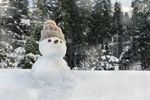 Kleine Sneeuwpop Gebreide Muts Sneeuw Winter Winter Sparren Bos Tijdens — Stockfoto