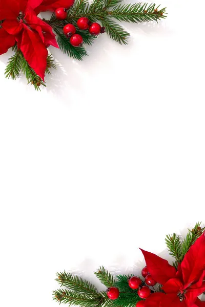 Decoração Natal Quadro Flores Poinsettia Vermelho Árvore Natal Ramo Bagas — Fotografia de Stock