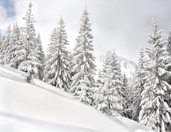 Paisaje Invernal Montañas Con Sendero Con Huellas Nieve Siguiendo Abeto —  Fotos de Stock