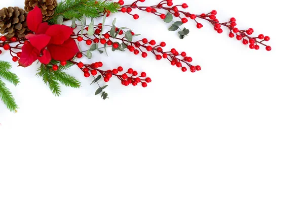Decoração Natal Bagas Vermelhas Poinsettia Vermelho Flor Árvore Natal Cone — Fotografia de Stock