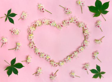 White flowers Aesculus hippocastanum, the horse chestnut frame in a shape of a heart on a pink paper background with space for text. Top view, flat lay