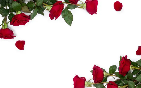 Frame Red Roses Petals White Background Space Text Top View — Stockfoto