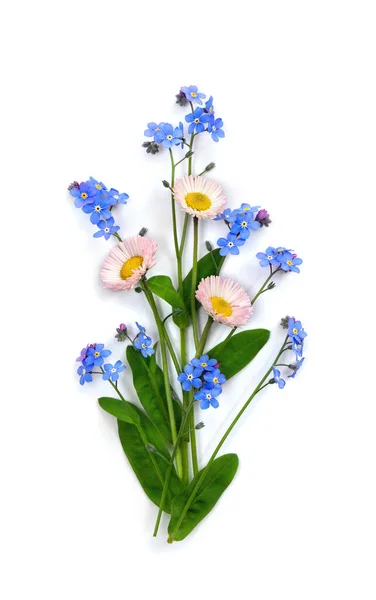Bukiet Białym Różowym Angielskim Stokrotka Niebieskie Kwiaty Zapomnij Mnie Nie — Zdjęcie stockowe