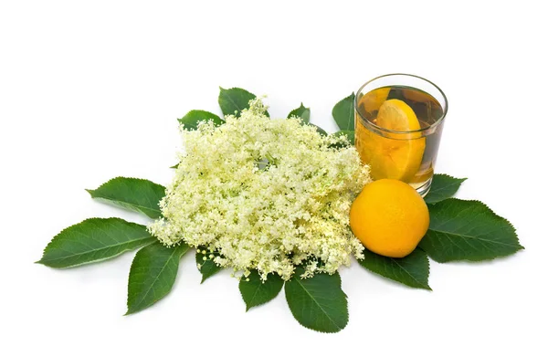 Flores Flor Saúco Con Limón Vidrio Sobre Fondo Blanco Con — Foto de Stock