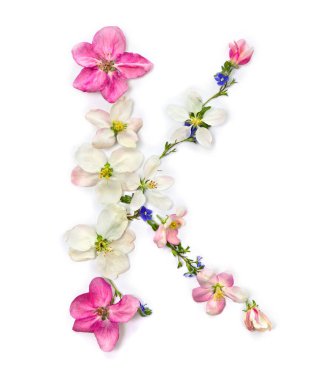 Çiçeklerin K harfi elma ağacı ve beyaz arka planda mavi kır çiçekleri. Üst manzara, düz uzanma