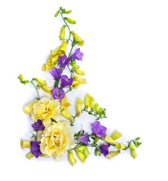 Yellow roses, violet blue flowers bell ( bellflower ), yellow flowers foxglove on a white background with space for text. Top view, flat lay