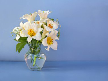 Bouquet white flowers lilies in glass vase on a blue table with space for text
