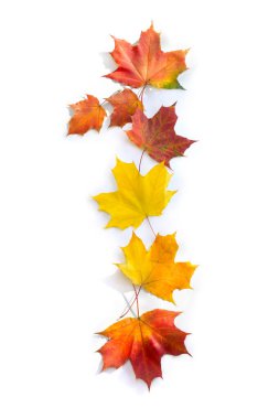 Number 1 from of colorful autumnal maple leaves on white background. Top view, flat lay